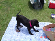 webassets/DSC00654.JPG